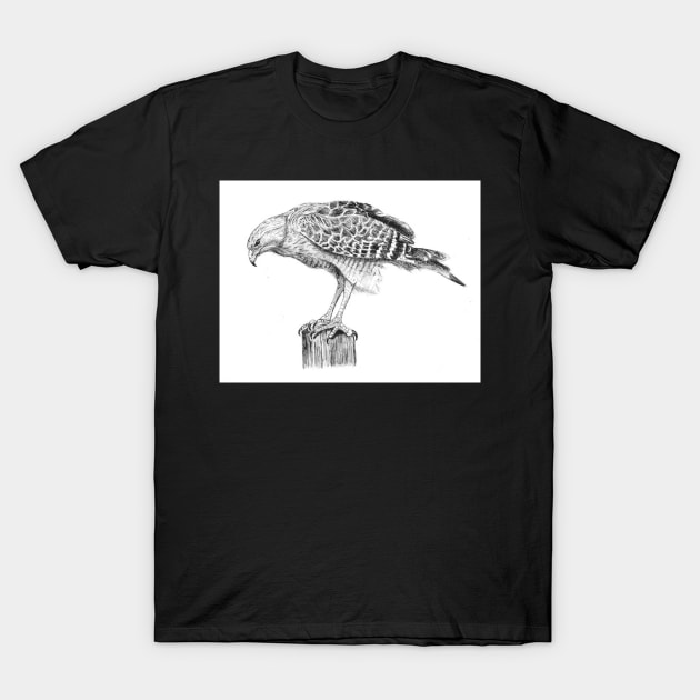 The Hawk T-Shirt by Keenart